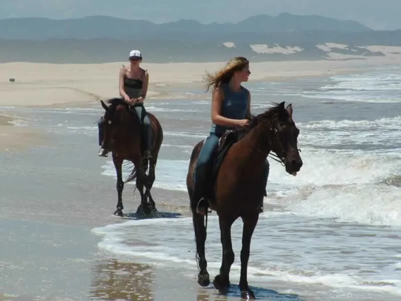 Horse Riding Eastern Cape, South Africa